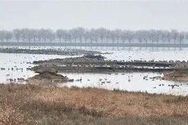 贺?i]?f皼鐷V?>茷i'E?oJ5鼍o鶝蒠慛m?紏顸嘖 -九游官网app下载